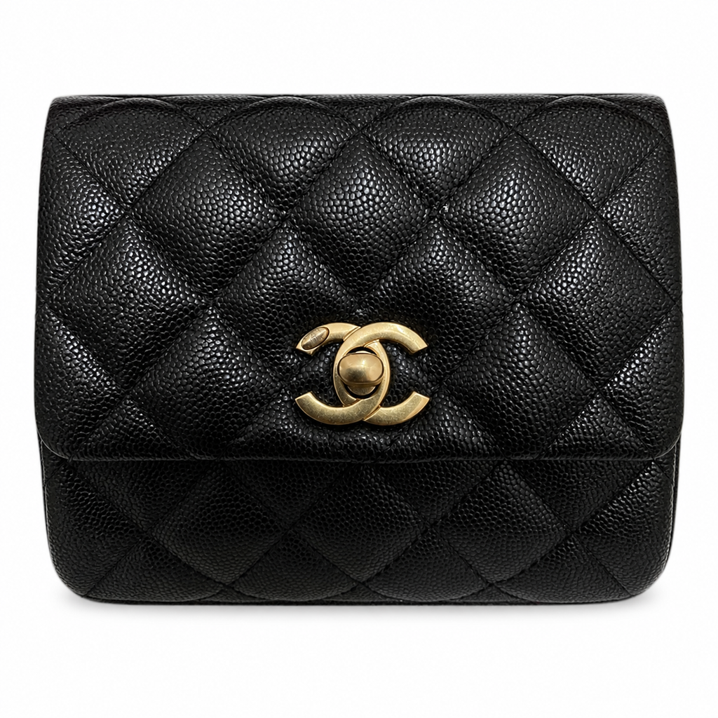 Chanel Classic CC Quilted Flap Bag | Gold Hardware & Chain — 24cm