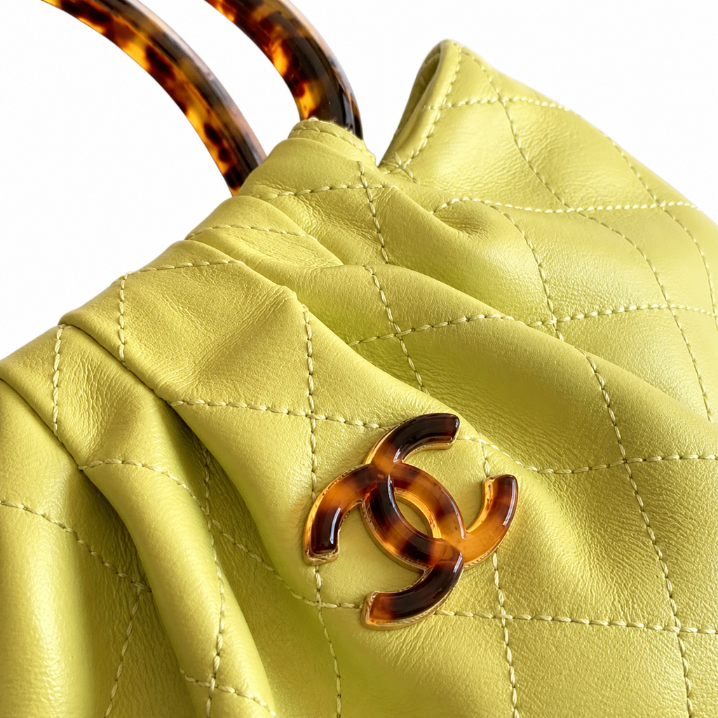 Chanel Classic Quilted Chain Crossbody Flap Bag