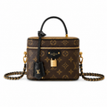 Louis Vuitton Monogram Vanity Bag